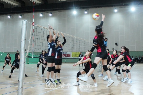 「제8회 광산 우리밀배 생활체육 전국 남녀배구대회」 여자 중년부 광주 빛고을 클럽과 광주 무진클럽의 결승전에서 빛고을클럽의 한복희 선수가 공격을 하고 있다.