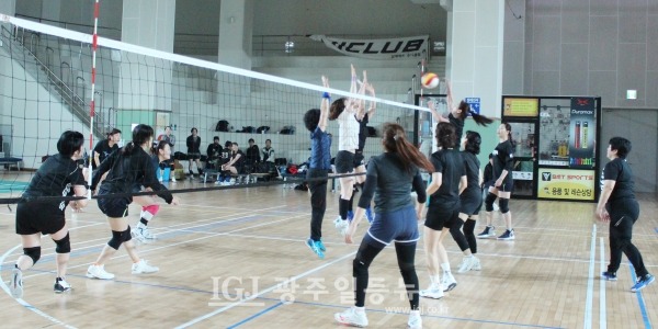 ‘2023년 광산구 자모배구 한마당’에서 장미 팀 선수가 백합 팀을 향해 공격하고 있다.