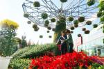 2016고양가을꽃축제, 28일부터 10월 3일 까지 열려